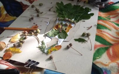 Fotoreportáže z letného plenéru v Grassalkovichovej záhrade
